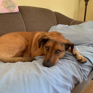 Meet your Posher, Evan